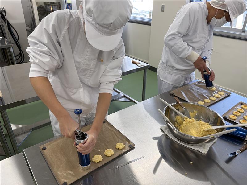 Image - 2026-01-27T151254.867